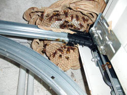 Peter Tauchert (c) 2013